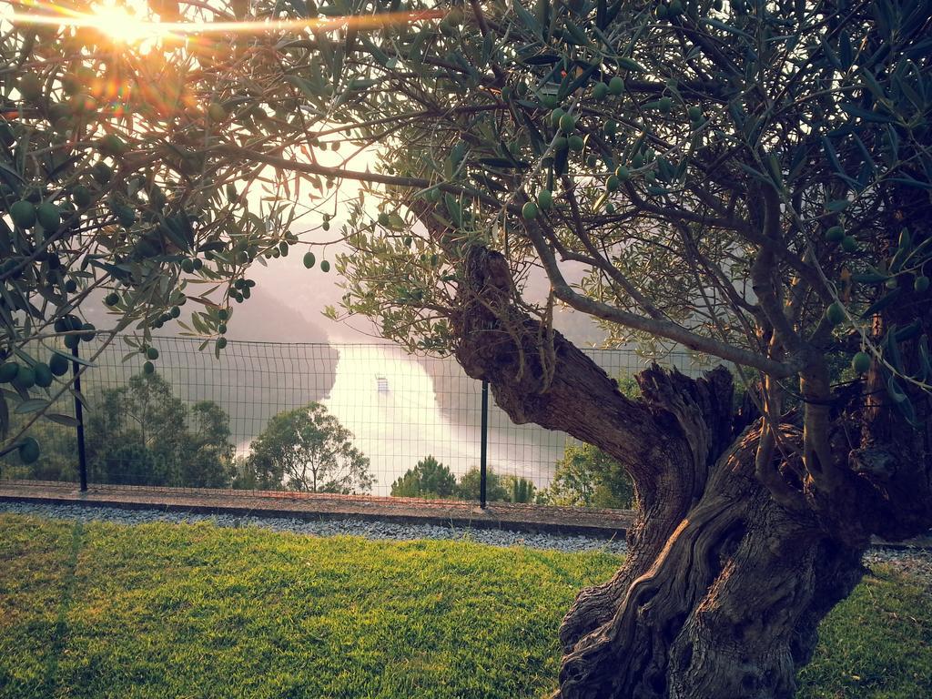 Quinta Das Tilias Douro Valley Cabaca Buitenkant foto