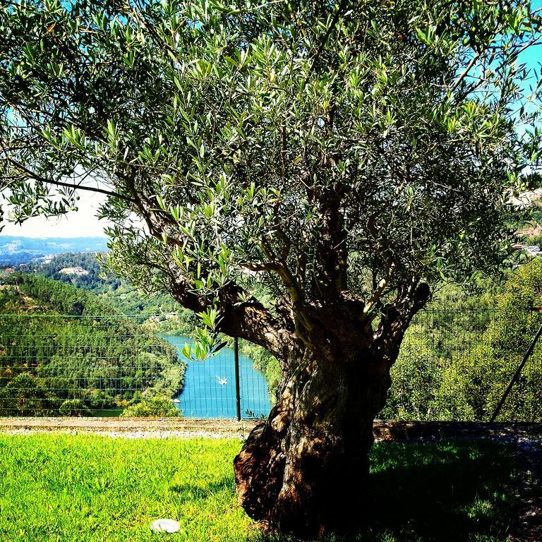Quinta Das Tilias Douro Valley Cabaca Buitenkant foto